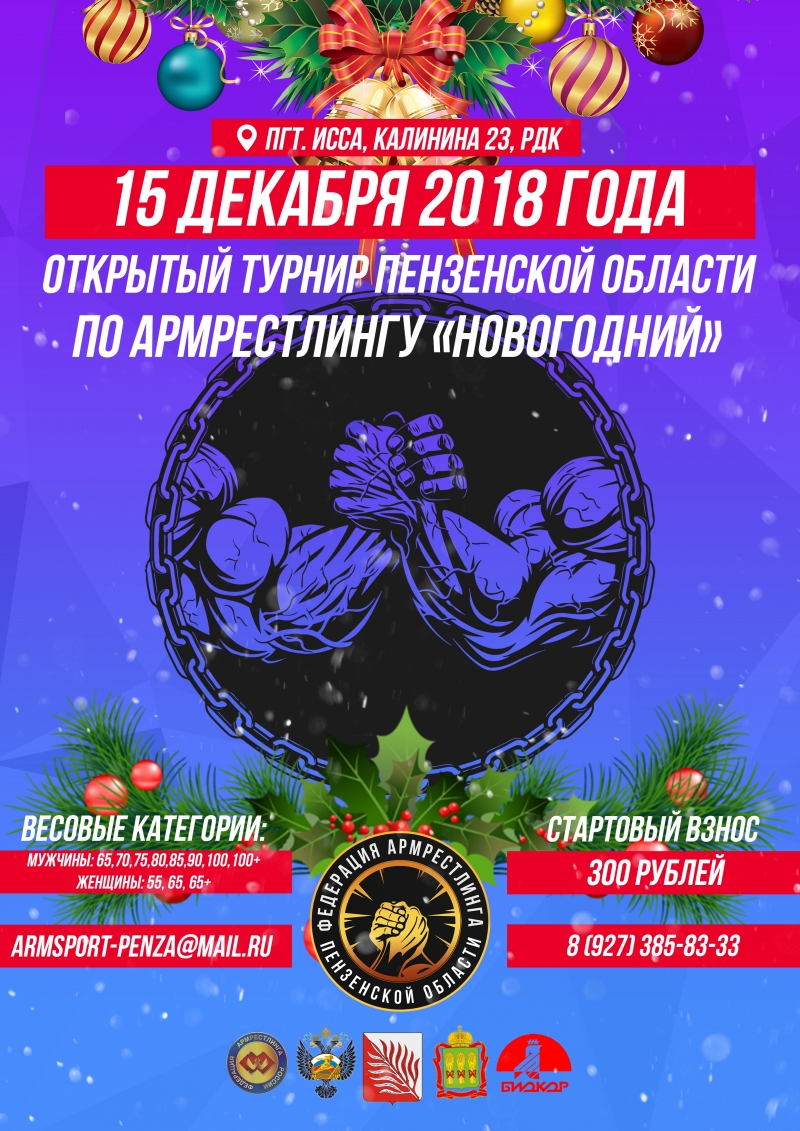 Открытый турнир Пензенской области по армрестлингу "НОВОГОДНИЙ"